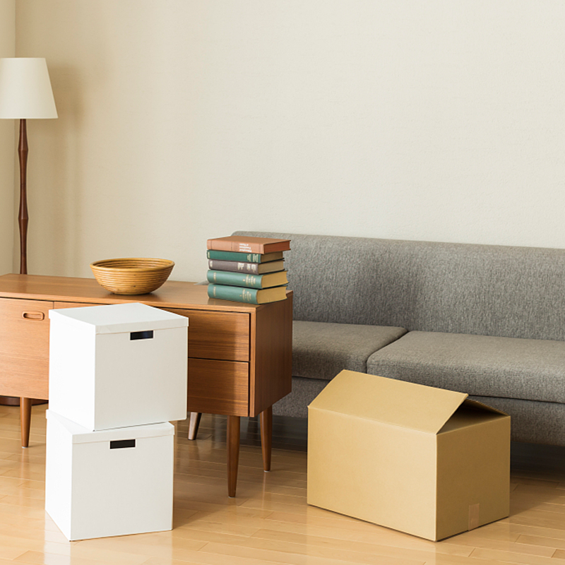 Corrugated Lorem Packaging Pyxidas