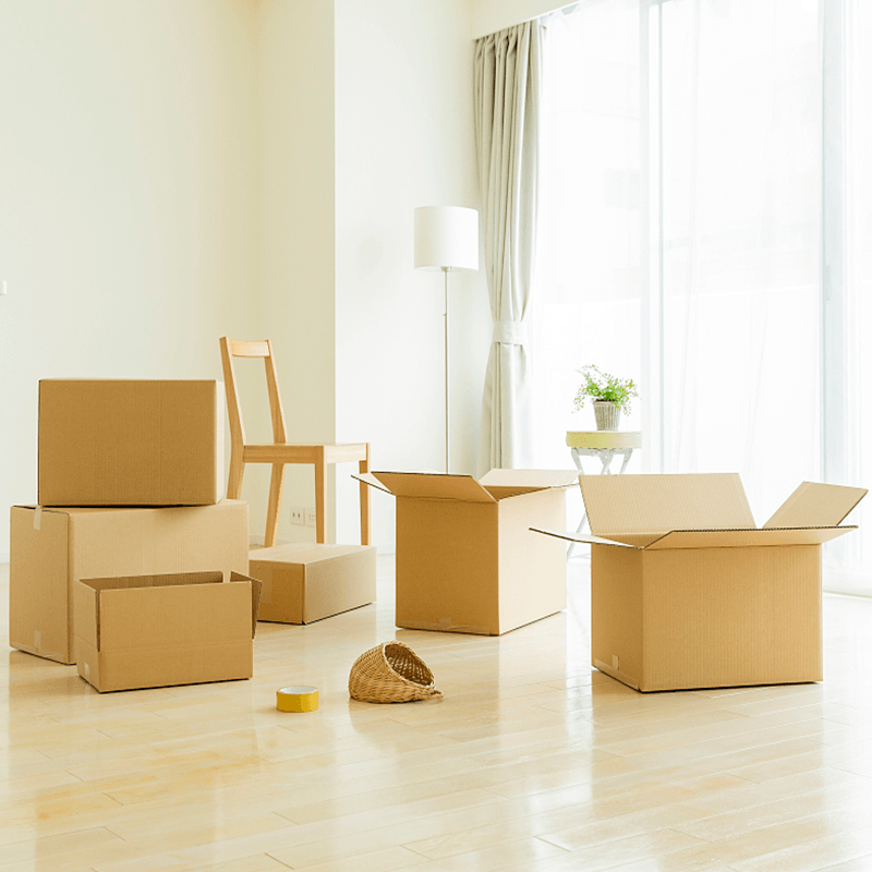 Corrugated Lorem Packaging Pyxidas